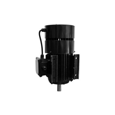 200Hz 380V Magnet Driven Motor Pmsm Motor Installation Mode B3